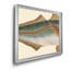 «Donovan Antique Fish III», impression sur toile encadrée-1214604012-1214604017