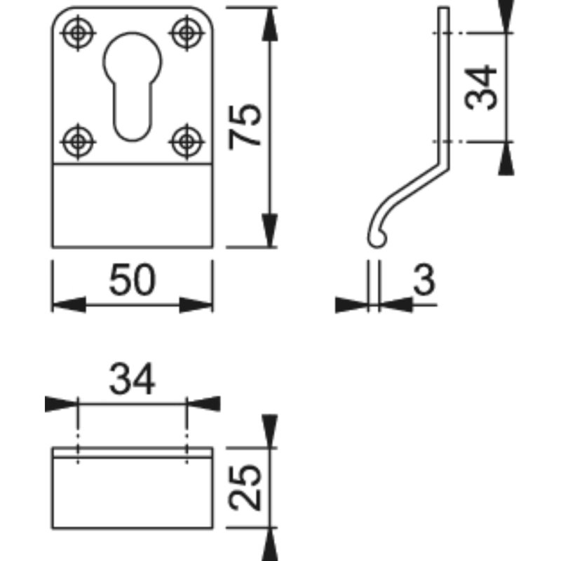 Amaura Access Euro Profile Cylinder Pull