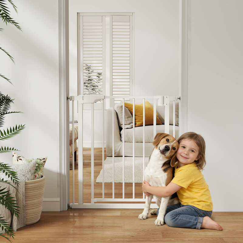 Pressure Mounted Pet Gate
