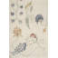 Floral Area Rug in Cream-798002736