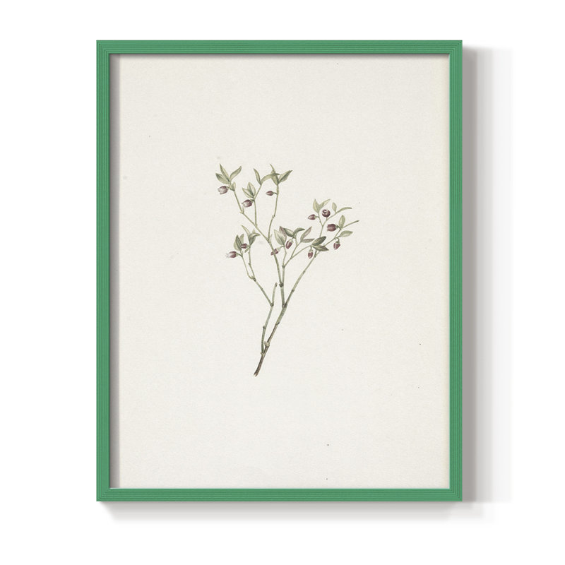 Reproduction florale rétro CLxxxi encadrée - bois massif, H 11 po x l 9 po, Vert
