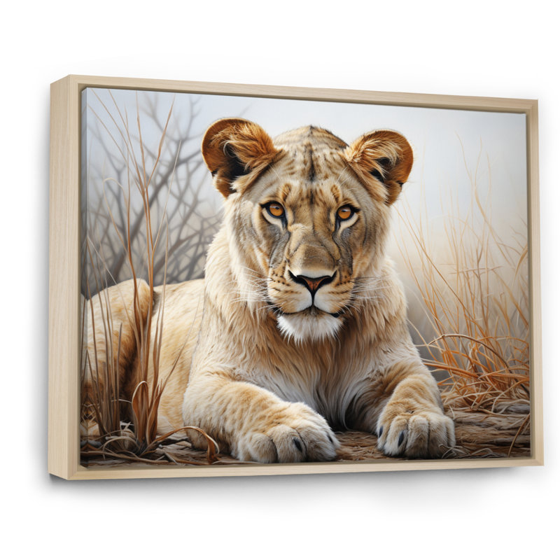 Lionne d'Afrique, puissance I - art mural africain pour le salon, Cadre flottant érable, H 30 po x l 40 po x P 1,5 po