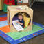 Coussins décoratifs Cozy - 6-628715908-628715905