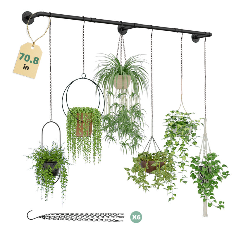 Support à plante à suspendre pour fenêtre 70,8 po à 6 chaînes noires (sans pots)