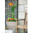 Newland Pot Planter-58225519-58225521