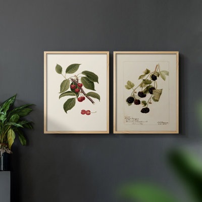 Vintage  Floral LXXIX  -Framed Giclee Print - Set of 2