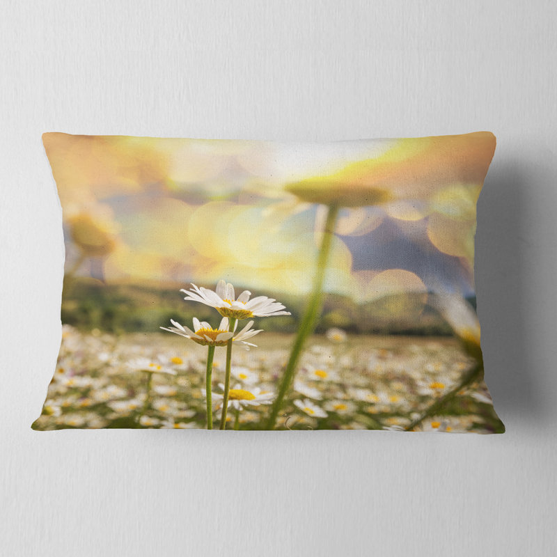 Coussin Schafer