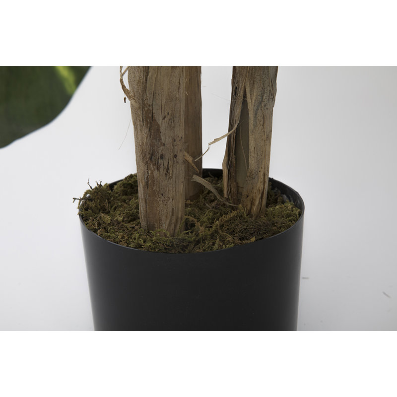 Pot à fleurs 70,6 '' artificiel Devil's Ivy In A Shell