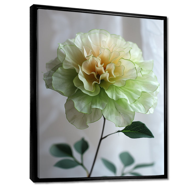 Blanc, blanc, jardin, glamour, souci, photo, souci, art mural, salon, Cadre flottant noir, bois massif, H 34 po x l 44 po