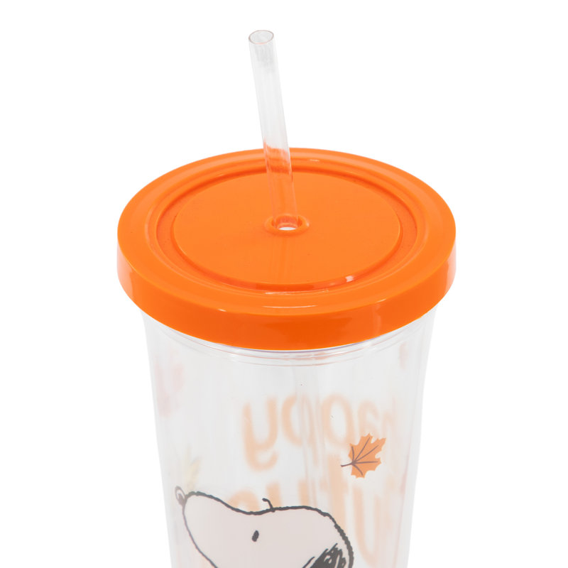 Gobelet en plastique transparent 24 onces Gibson Homewares Peanuts