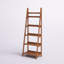 Kamal Walnut 72"H x 24.75"W Solid Wood Five Shelf Ladder Bookcase-554127660