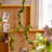 Faux Moss Plant-1236080652