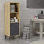 Armoire d'appoint 1 porte Emerfield