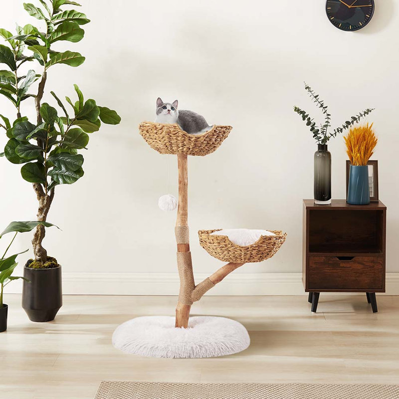 Tour à chat en bois pour grands chats 20 lb