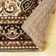 Bonnay Oriental Indoor Rug