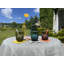 Quessant Drinking Glass-2040574072
