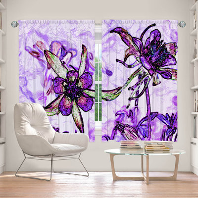 Desare Room Darkening Curtain Pair