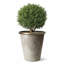 Handmade Pot Planter