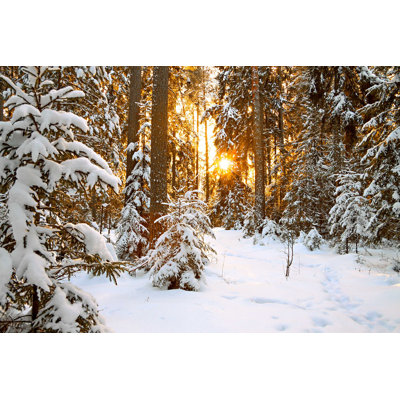 «Winter Forest and Sunset» par Yanikap - Photographie sur toile tendue