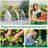 Outsunny 6' X 3' X 3' Portable Mini Greenhouse Outdoor Garden With Large Zipper Doors And Water/UV PE Cover-116836799