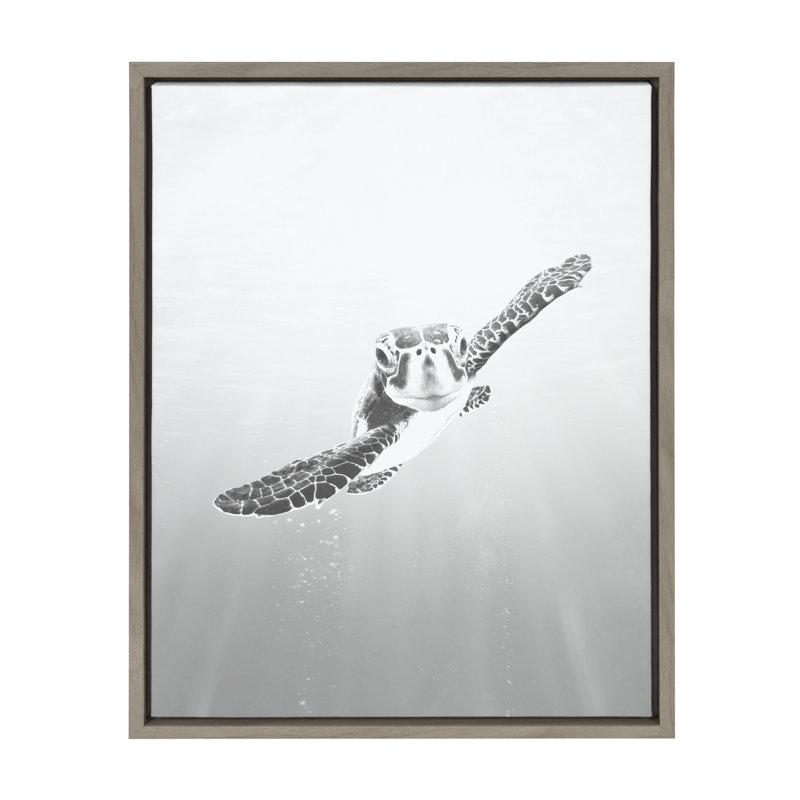 «Sea Turtle» par Simon Te, impression sur toile encadrée, Cadre gris