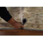Tapis oriental All-Over Oushak 8 x 10