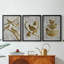 Quatre oiseaux qui chantent - Feuille d'or - Toile sur toile tendue avec châssis encadré - 3 pièces-1012188402