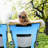 Ardell Folding Camping Chair