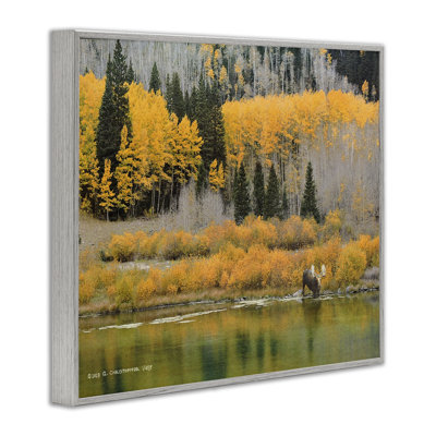 Moose at Priest Lake Framed Giclee Art by Chris Vest
