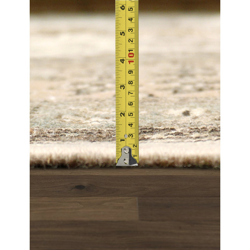 Tapis beige / brun en laine noué à la main de conception unique 9 pi 9 po x 12 pi 9 po Tabriz