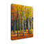«Fall in Glory I», reproduction de peinture acrylique sur toile tendue-33521208