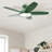 Flush Mount Ceiling Fan with LED Light and Remote-108166598-132999400