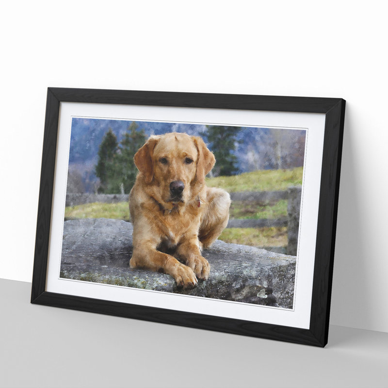 Golden Labrador Dog Vol.2 - Framed Print, 48cm H x 65cm W x 2cm D, Black Framed