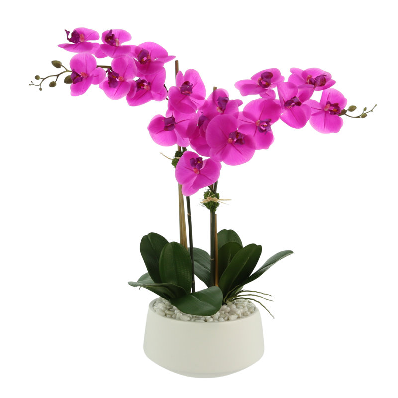 Orchids In A White Container With Rocks