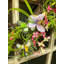 Couronne de brindille papillon 24 po