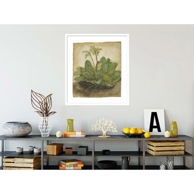 Tuft of Cowslips by Albrecht Dürer -Framed Giclee Print