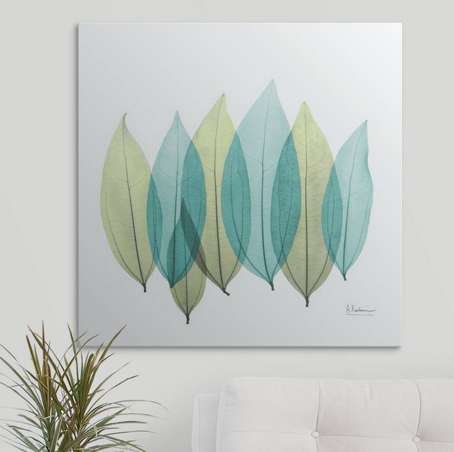 Manigault Albert Koetsier - Print, Canvas, 36" H x 36" W x 1.5" D