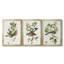 Antique Bird, Botanical & Egg I  -Custom Framed  Wrapped Gallery Canvas - 3 Pieces