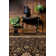 Cote D’Azure Hand Knotted Wool Area Rug