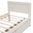 Celinda Storage Bed-1977649165
