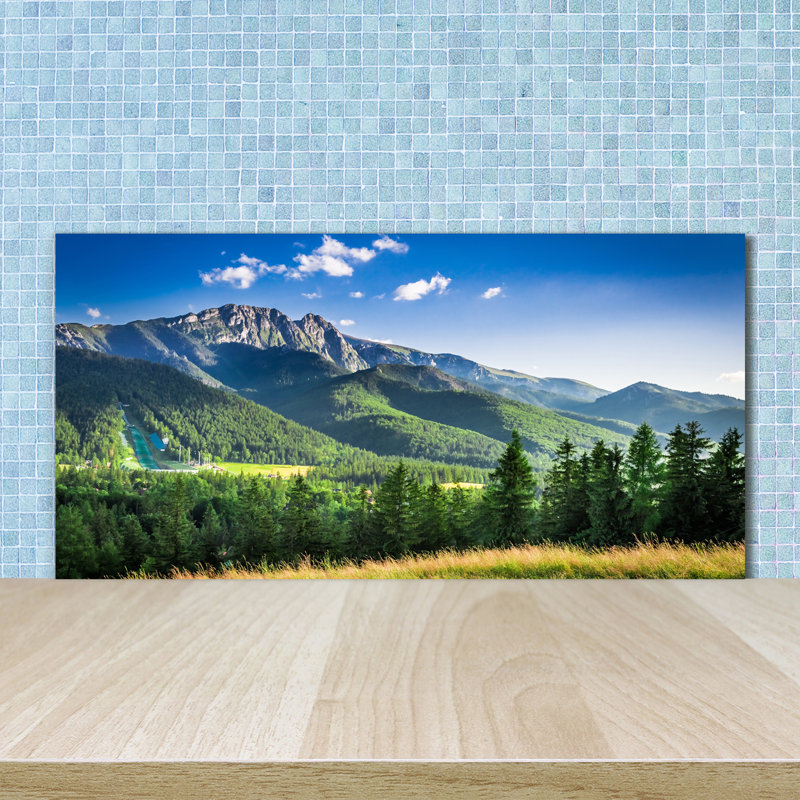 50cm W x 100cm L Glass Peel and Stick Panel