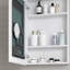 Armoire pour miroir de salle de bain 20 po x 30 po - Porte en bois, fixation murale, encastrée / en surface, ouverture à gauche, rangement pour produits d'hygiène l 20 po x H 30 po, encastrée ou en surface, solution bien rangée