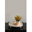 Plateau de table basse Avena-991529813