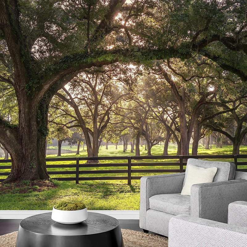 Oak Tree Branch With Farm Fence In The Rural Countryside, 66" L x 96" W