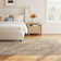 Anatolie Oriental Indoor Rug