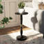 Petite table d'appoint ronde moderne en bois massif de 12 po - finition noire avec accents dorés, H 24 po, table de bout décorative, assemblage sans outil