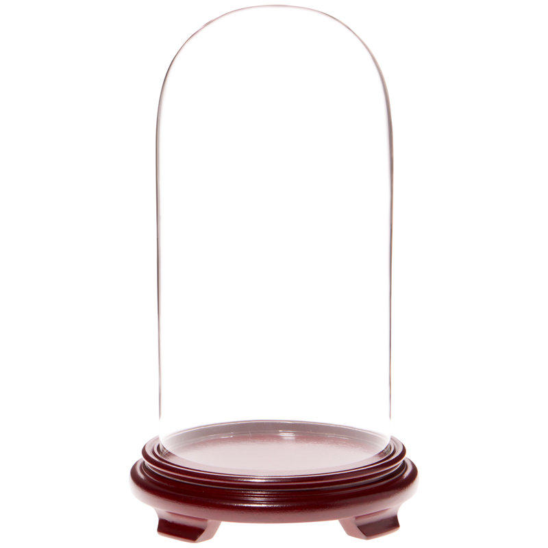 Cloche à dôme en verre 5,5 "x 11" Keiarra, Base en placage de bois rouge