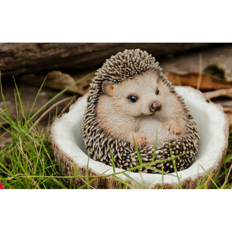 Coconut Hedgehog