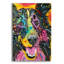 "Colley souriant" par Dean Russo-2089287330