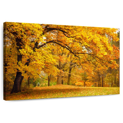 Alvord Autumn Trees Foliage